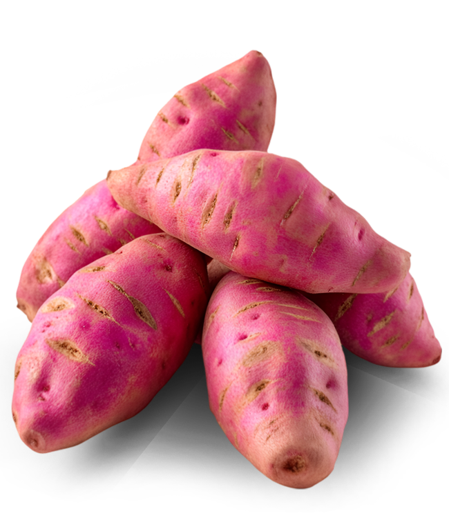 Sweet Potatoe